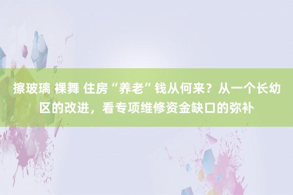 擦玻璃 裸舞 住房“养老”钱从何来？从一个长幼区的改进，看专项维修资金缺口的弥补