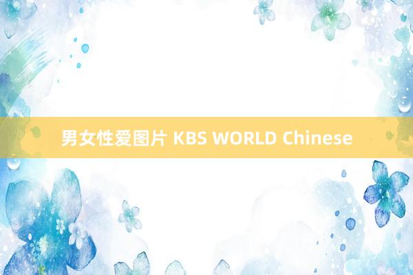 男女性爱图片 KBS WORLD Chinese