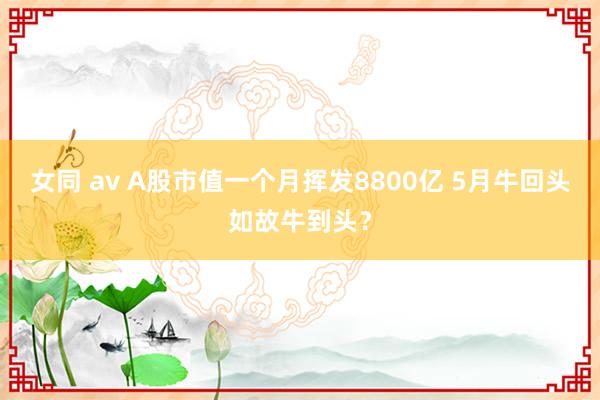 女同 av A股市值一个月挥发8800亿 5月牛回头如故牛到头？